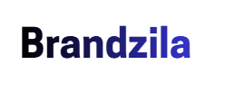 brandzila.shop